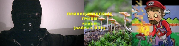 mix Лабытнанги
