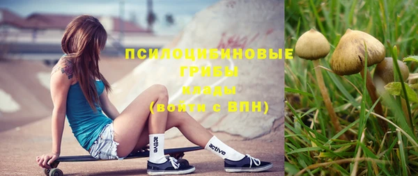mix Лабытнанги