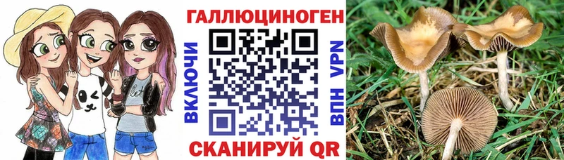 Псилоцибиновые грибы ЛСД  Купить  Черепаново 